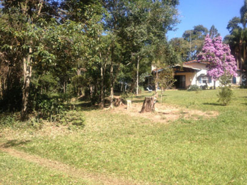 Sítio à venda itapetinga com 23270m² e 4 quartos por R$ 5.000.000 - 1544026542-foto-8.jpg