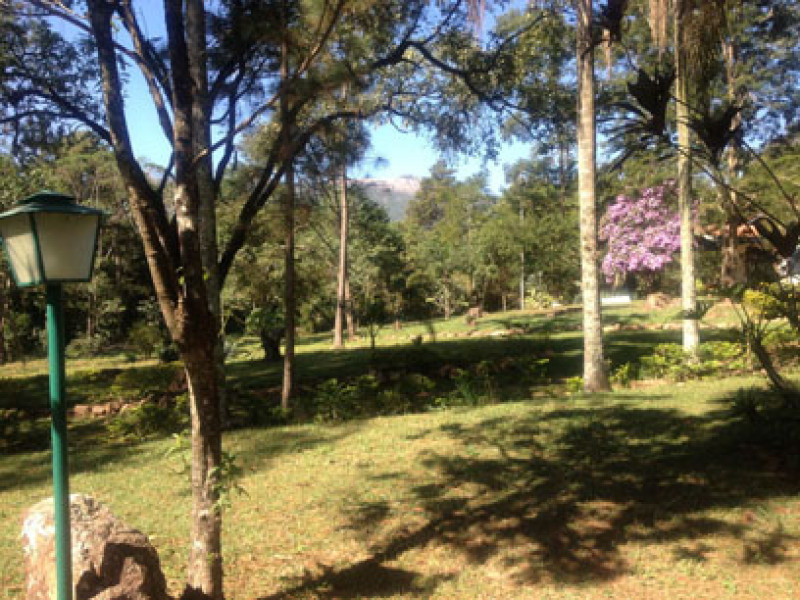Sítio à venda itapetinga com 23270m² e 4 quartos por R$ 5.000.000 - 1619488890-foto-6.jpg