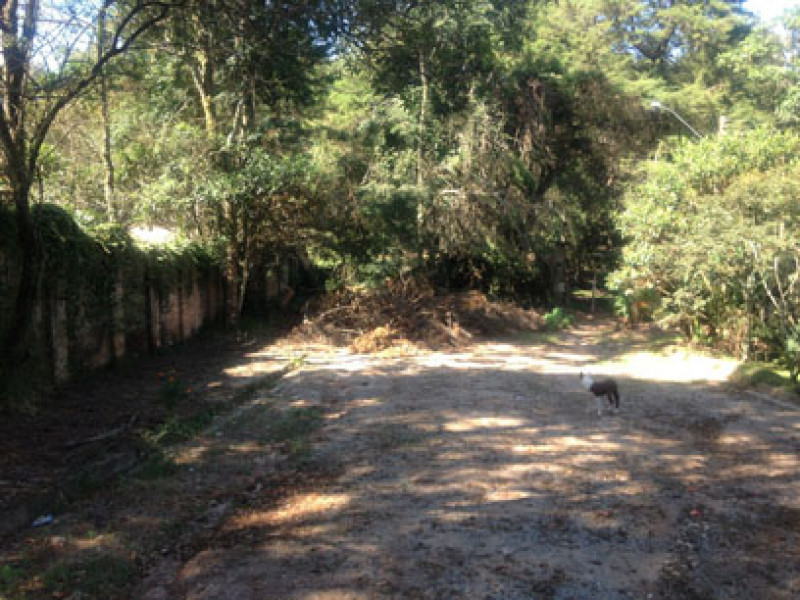 Sítio à venda itapetinga com 23270m² e 4 quartos por R$ 5.000.000 - 1620504202-foto-2.jpg