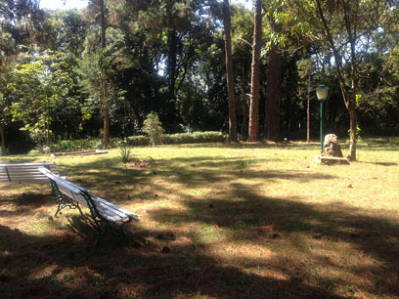 Sítio à venda itapetinga com 23270m² e 4 quartos por R$ 5.000.000 - 681068869-foto-5.jpg
