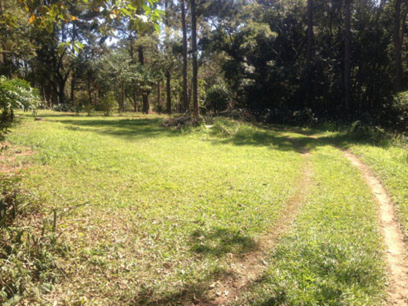 Sítio à venda itapetinga com 23270m² e 4 quartos por R$ 5.000.000 - 762008689-foto-7.jpg