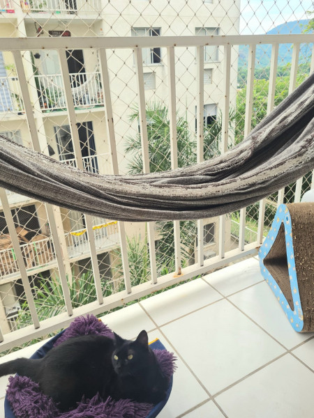 Apartamento à venda Taquara com 50m² e 2 quartos por R$ 220.000 - 206102562-05.jpeg