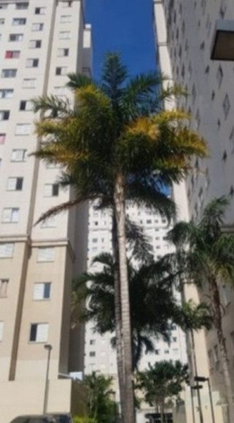 Apartamento à venda Vila Nova Curuçá com 46m² e 2 quartos por R$ 300.000 - 1982386139-inbound4922949986009985933.jpg