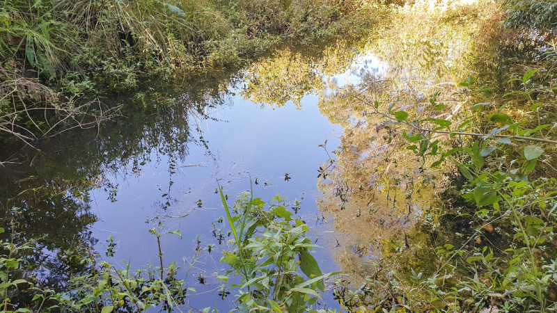 Casa à venda Jardim Liberdade com 420m² e 3 quartos por R$ 1.890.000 - 1516736601-terreno-extrema-5.jpg