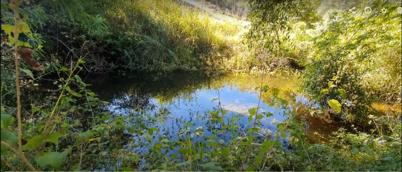 Casa à venda Jardim Liberdade com 420m² e 3 quartos por R$ 1.890.000 - 1743254417-terreno-extrema-6.jpg