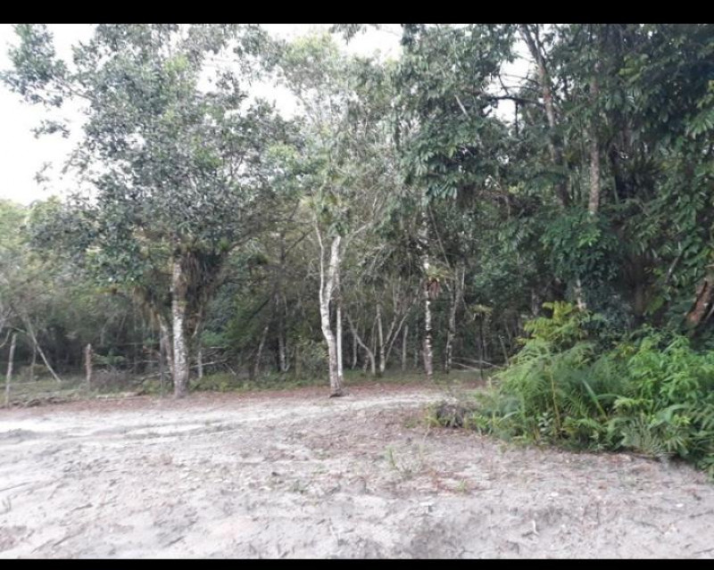 Chácara à venda Centro com 7m² e 2 quartos por R$ 180.000 - 1951072402-whatsapp-image-2022-09-13-at-10.jpeg