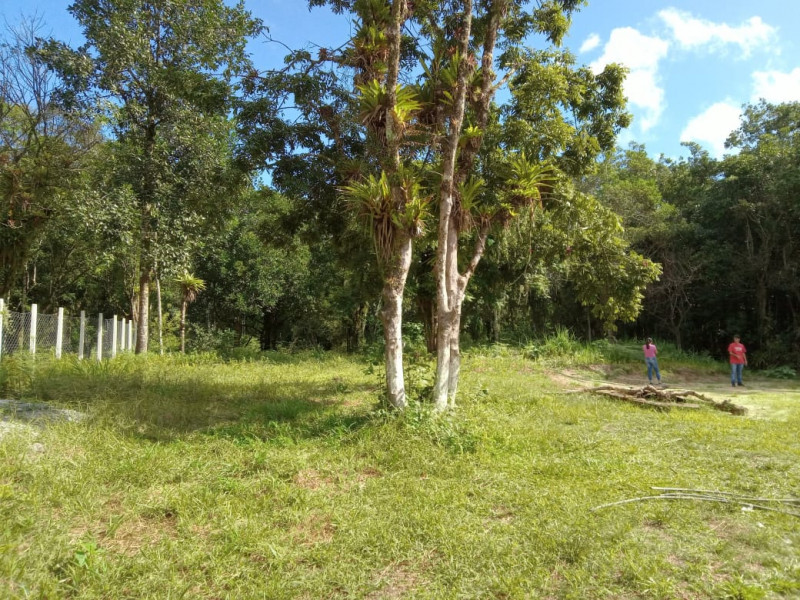 Chácara à venda Centro com 7m² e 2 quartos por R$ 180.000 - 782704652-whatsapp-image-2022-09-13-at-10.jpeg