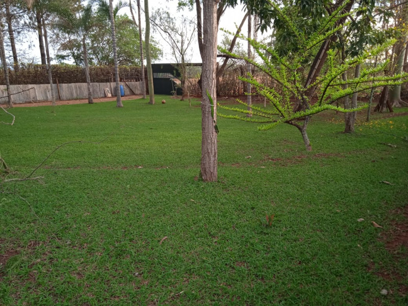Casa à venda Parque das Andorinhas com 1500m² e 3 quartos por R$ 580 - 2073480450-whatsapp-image-2021-10-14-at-06.jpeg