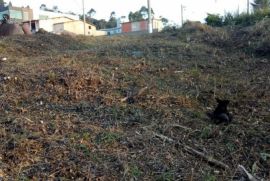 Terreno à venda Esmeralda Park (Caucaia do Alto) com 500m² - 1 dormitório -  vagas - R$ 175.000 - 1334847698-122144210949409.jpg