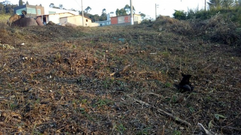 Terreno à venda Esmeralda Park (Caucaia do Alto) com 500m² e 1 quarto por R$ 175.000 - 1334847698-122144210949409.jpg