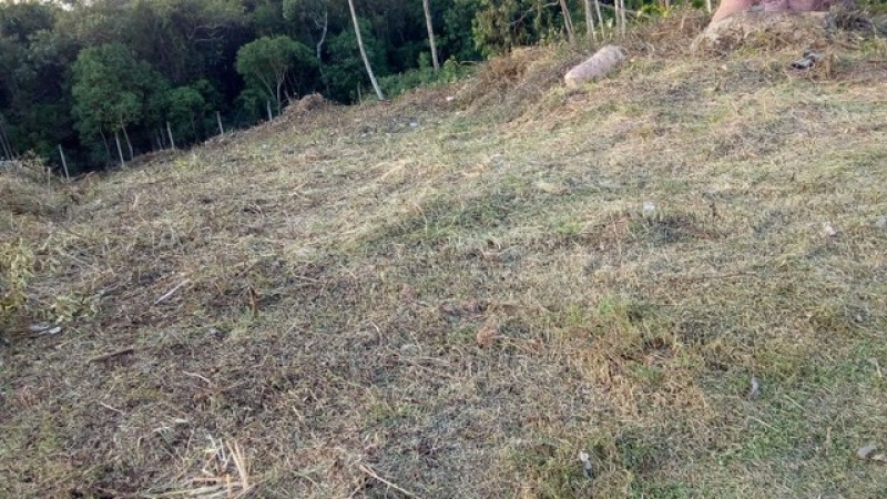 Terreno à venda Esmeralda Park (Caucaia do Alto) com 500m² e 1 quarto por R$ 175.000 - 1446251600-128193458227536.jpg