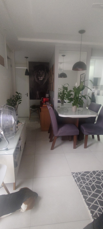 Apartamento à venda Tomás Coelho com 44m² e 2 quartos por R$ 240.000 - 1652175039-img-20220914-164519699.jpg