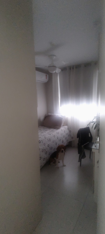 Apartamento à venda Tomás Coelho com 44m² e 2 quartos por R$ 240.000 - 1808761498-img-20220914-164048911.jpg