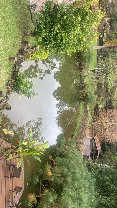 Sítio à venda Chácaras Guanabara com 9500m² e 5 quartos por R$ 1.800.000 - 1553601868-e1ca01c8-ea25-4cb0-a770-550f181c7358.jpeg