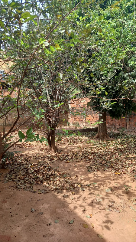 Casa à venda Bethânia  com 75m² e 3 quartos por R$ 430.000 - 757543278-20220907-110640.jpg