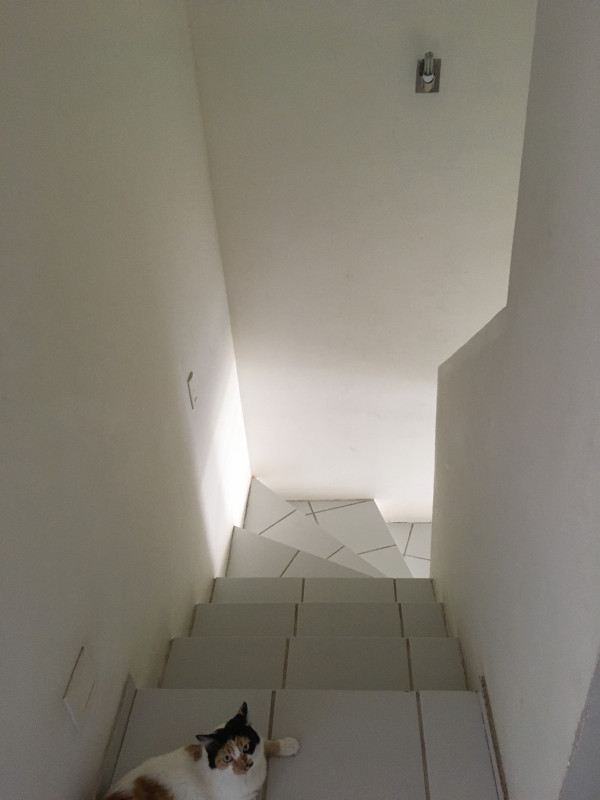 Casa de condomínio à venda Sancho com 63m² e 2 quartos por R$ 225.000 - 1147674835-img-0954.JPG