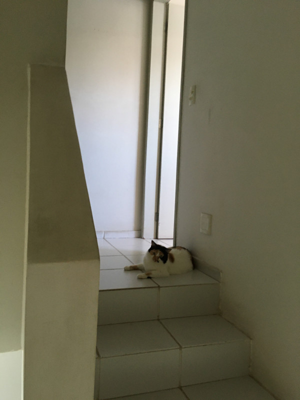 Casa de condomínio à venda Sancho com 63m² e 2 quartos por R$ 225.000 - 173737277-img-0953.JPG