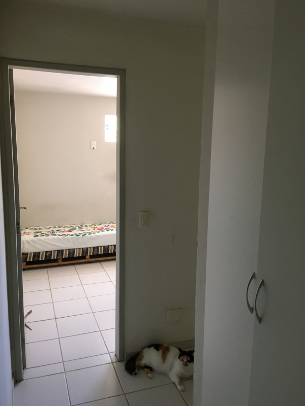 Casa de condomínio à venda Sancho com 63m² e 2 quartos por R$ 225.000 - 993947215-img-0956.JPG