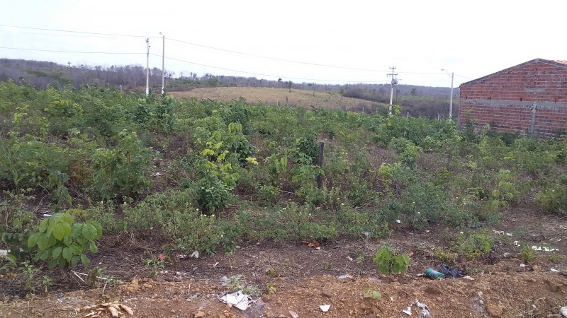 Terreno à venda Centro com 300m² e 1 quarto por R$ 25.000 - 427977108-terrenos-02-e-03-colinas-1.jpg