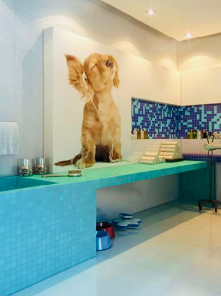 Apartamento à venda Ipiranga  com 68m² e 2 quartos por R$ 668.000 - 1611719145-whatsapp-image-2022-09-18-at-10.jpeg