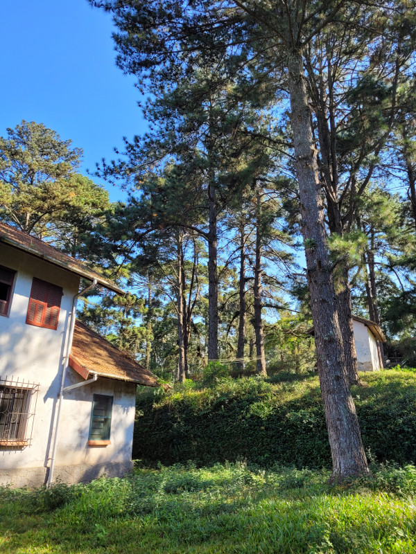 Terreno à venda Sete Praias com 24800m² e 1 quarto por R$ 2.408.000 - 149388276-20220428-091028.jpg