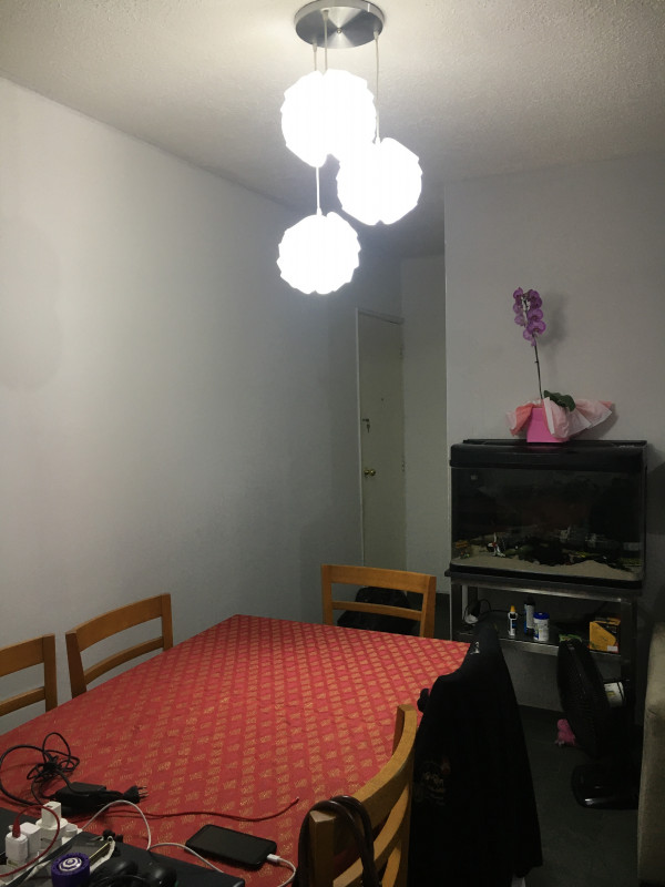 Apartamento à venda Jardim Dom Vieira com 49m² e 2 quartos por R$ 240.000 - 10682809-42d832c9-8633-42ae-b76e-aa29c1e166c3.jpeg