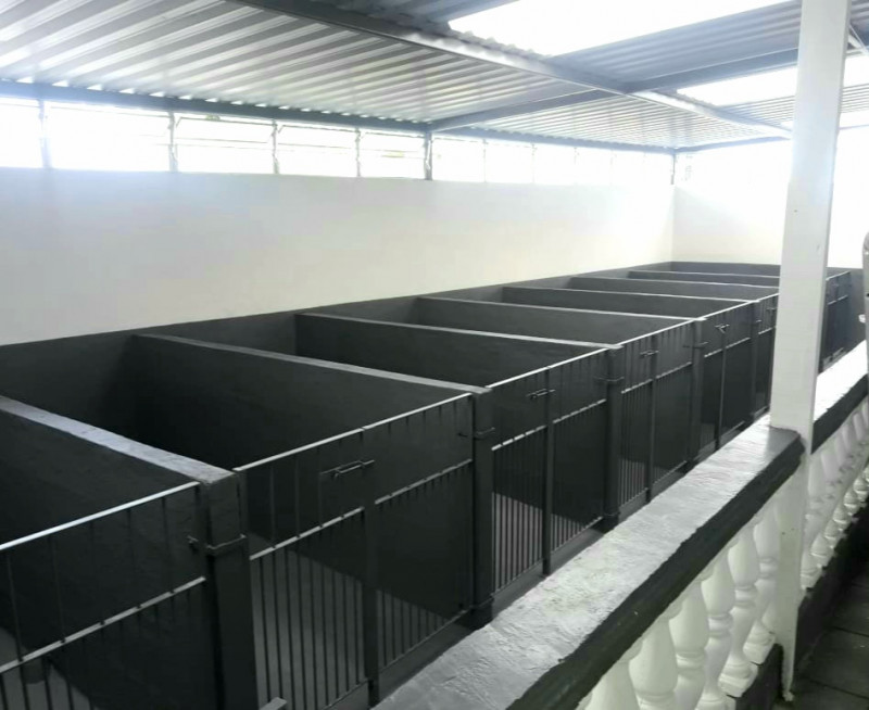 Chácara à venda Finco com 320m² e 3 quartos por R$ 550.000 - 1377867883-whatsapp-image-2022-05-26-at-11.jpeg