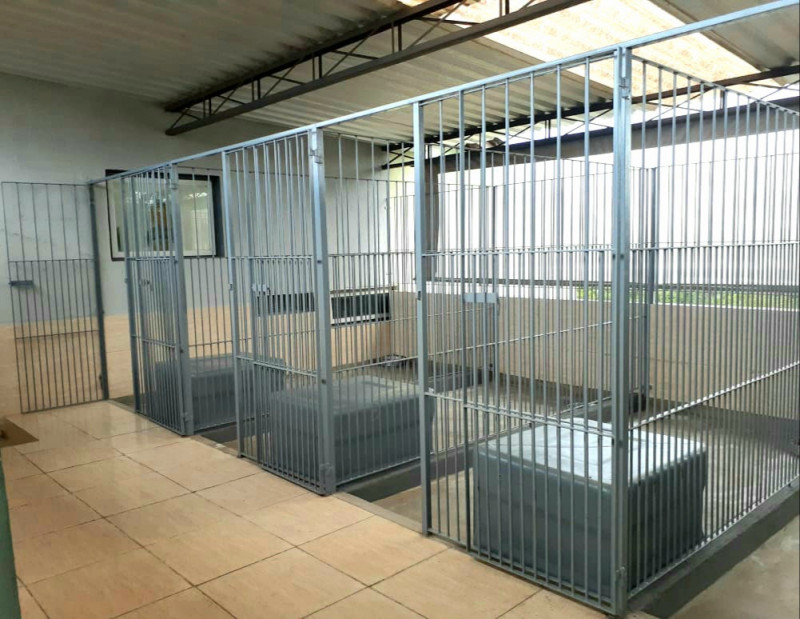 Chácara à venda Finco com 320m² e 3 quartos por R$ 550.000 - 712633911-whatsapp-image-2022-05-26-at-11.jpeg