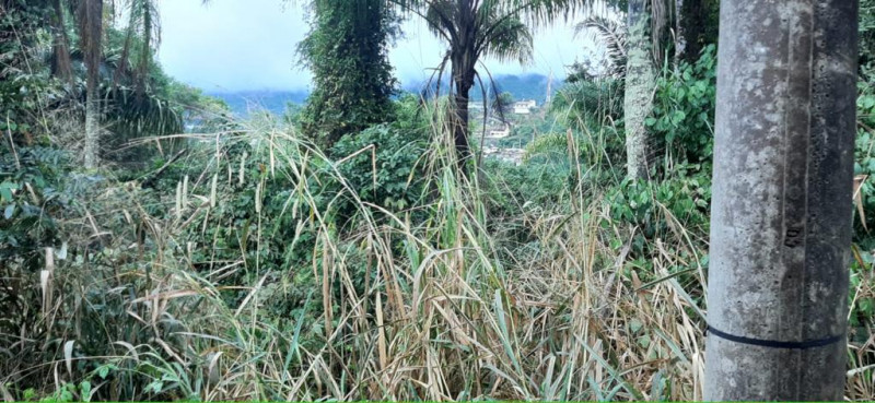 Terreno à venda Piúva com 5180m² e 1 quarto por R$ 2.480.000 - 1203782818-ilhabela-4.jpg