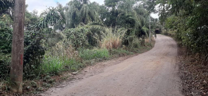 Terreno à venda Piúva com 5180m² e 1 quarto por R$ 2.480.000 - 1988159719-ilhabela-6.jpg