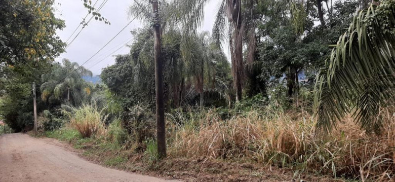 Terreno à venda Piúva com 5180m² e 1 quarto por R$ 2.480.000 - 1996448535-ilhabela-10.jpg
