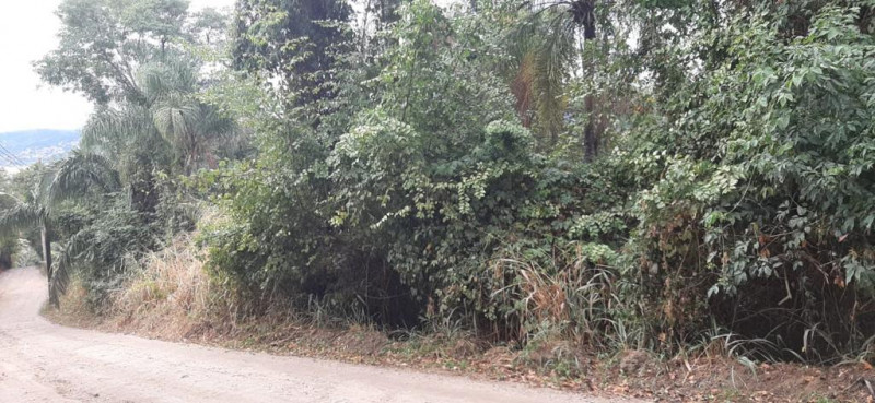 Terreno à venda Piúva com 5180m² e 1 quarto por R$ 2.480.000 - 396928877-ilhabela-11.jpg