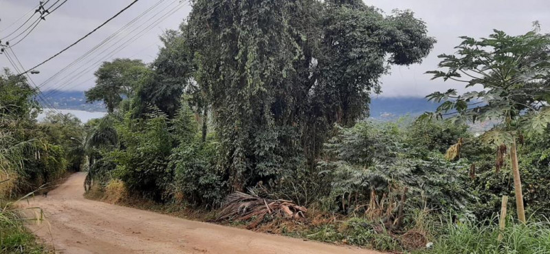 Terreno à venda Piúva com 5180m² e 1 quarto por R$ 2.480.000 - 651391813-ilhabela-13.jpg