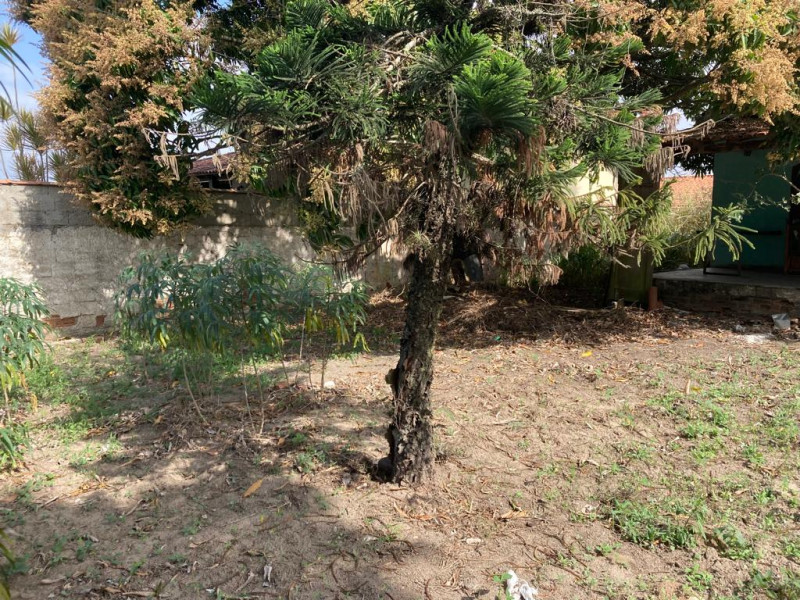 Terreno à venda Fazendinha com 3677m² e 1 quarto por R$ 980.000 - 1027052918-whatsapp-image-2022-07-18-at-12.jpeg