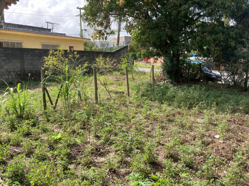 Terreno à venda Fazendinha com 3677m² e 1 quarto por R$ 980.000 - 1586881653-whatsapp-image-2022-07-18-at-12.jpeg