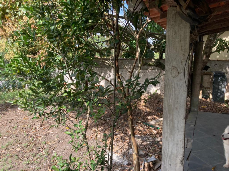 Terreno à venda Fazendinha com 3677m² e 1 quarto por R$ 980.000 - 1899486939-whatsapp-image-2022-07-18-at-12.jpeg