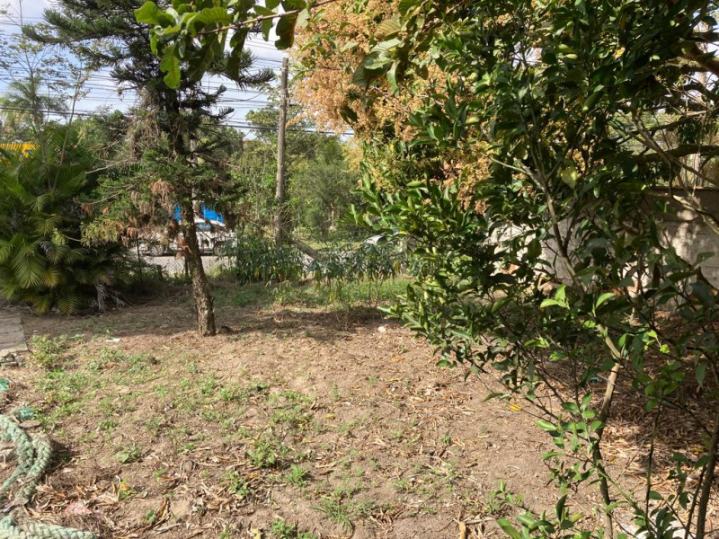 Terreno à venda Fazendinha com 3677m² e 1 quarto por R$ 980.000 - 942023026-whatsapp-image-2022-07-18-at-12.jpeg