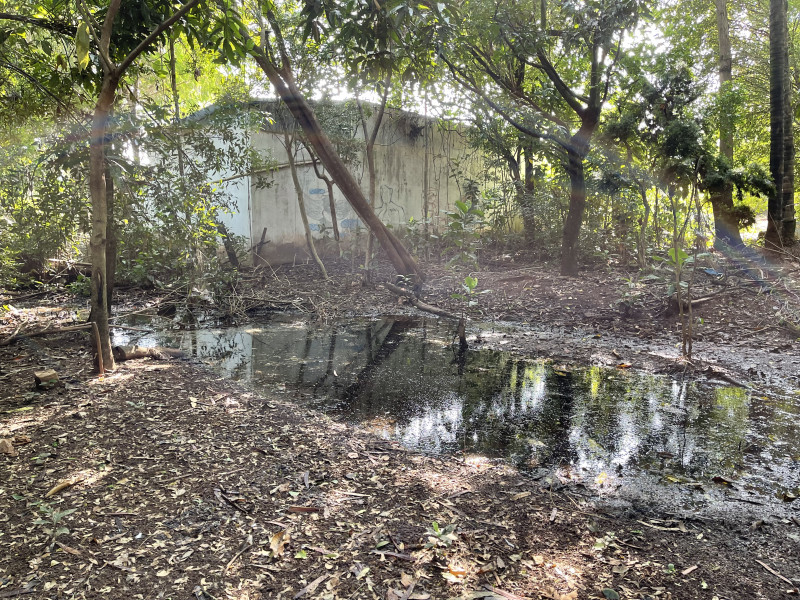 Casa à venda Jardim Santa Madalena com 136m² e 4 quartos por R$ 1.287.000 - 2024626253-bc983fc3-6934-4bfb-8f42-6b871c351277.jpeg