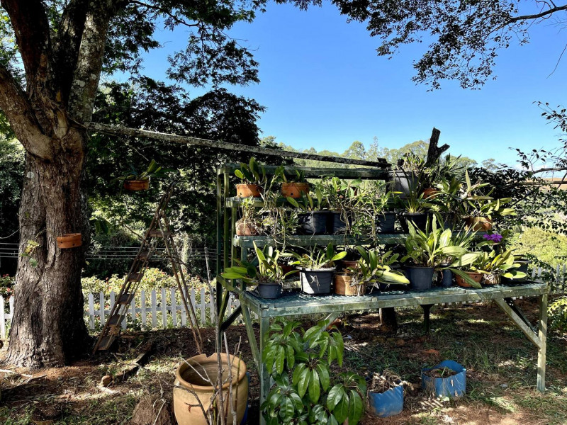 Terreno à venda Centro com 2221m² e 0 quartos por R$ 3.600.000 - 458675766-chacara-sao-leonardo-foto-58.jpeg