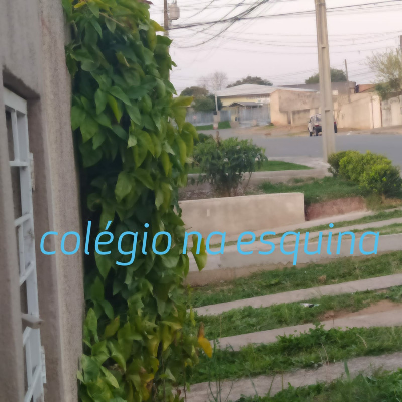 Comercial à venda Gralha Azul com 450m² e 1 quarto por R$ 390.000 - 1591223420-whatsapp-image-2022-07-25-at-17.jpeg