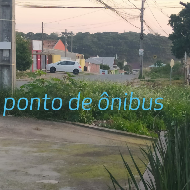 Comercial à venda Gralha Azul com 450m² e 1 quarto por R$ 390.000 - 419691446-whatsapp-image-2022-07-25-at-17.jpeg