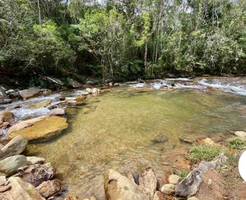 Sítio à venda centro com 61000m² e 4 quartos por R$ 1.350.000 - 788444005-11d9e821-992e-4b9e-ab8a-b07da3d2d26c.jpeg