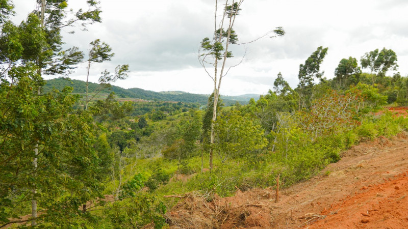 Sítio à venda Lídia Queiroz com 10000m² e 1 quarto por R$ 525.000 - 1581282347-55b70b1d-df42-427e-9cd2-1302f717584d.jpeg