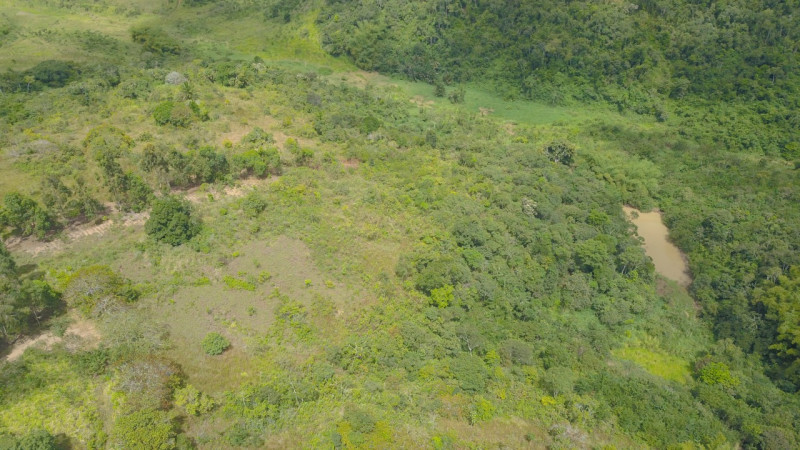 Sítio à venda Lídia Queiroz com 10000m² e 1 quarto por R$ 525.000 - 1906959817-170d9645-5d1d-4b1e-8dc0-dfd7c4f0e0cf.jpeg