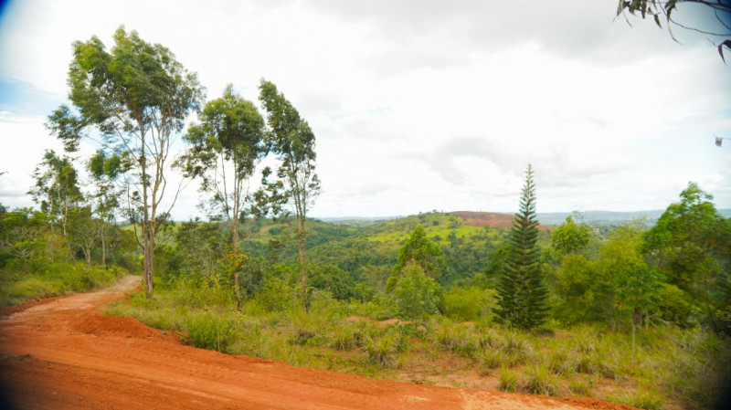 Sítio à venda Lídia Queiroz com 10000m² e 1 quarto por R$ 525.000 - 1960869151-230d5cc3-af28-46a8-90d9-1e7e5b653f0b.jpeg