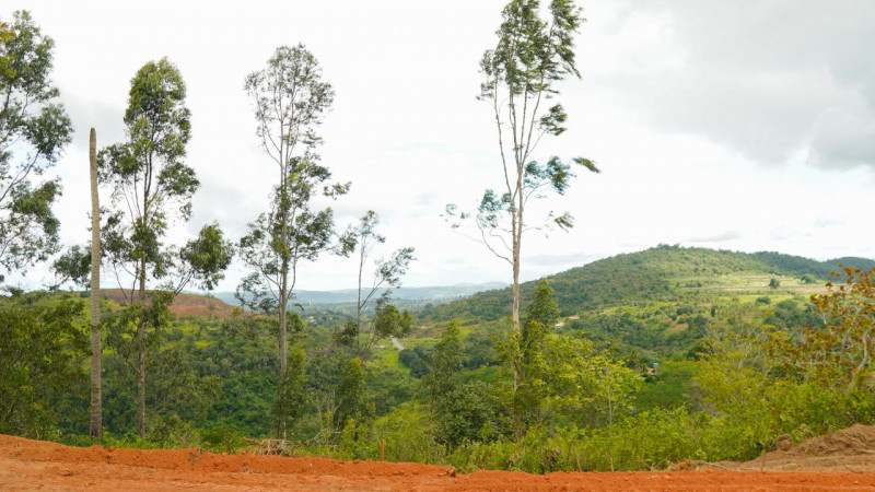 Sítio à venda Lídia Queiroz com 10000m² e 1 quarto por R$ 525.000 - 1992844496-6e73bc61-bf76-4b83-89d7-70b98cc1aedd.jpeg