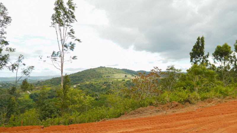 Sítio à venda Lídia Queiroz com 10000m² e 1 quarto por R$ 525.000 - 319201185-e9e620fd-6cf0-42a0-bde3-0e3d75ac0305.jpeg
