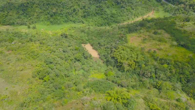 Sítio à venda Lídia Queiroz com 10000m² e 1 quarto por R$ 525.000 - 688131474-2850f9c7-b956-46b6-b51d-7d0d48e4479b.jpeg