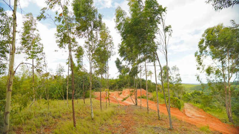 Sítio à venda Lídia Queiroz com 10000m² e 1 quarto por R$ 525.000 - 692053807-38a3255c-59de-4f6c-b6b6-1e5379e063c8.jpeg