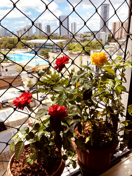 Apartamento à venda Boa Viagem com 50m² e 2 quartos por R$ 290.000 - 323508271-img-5745.jpg